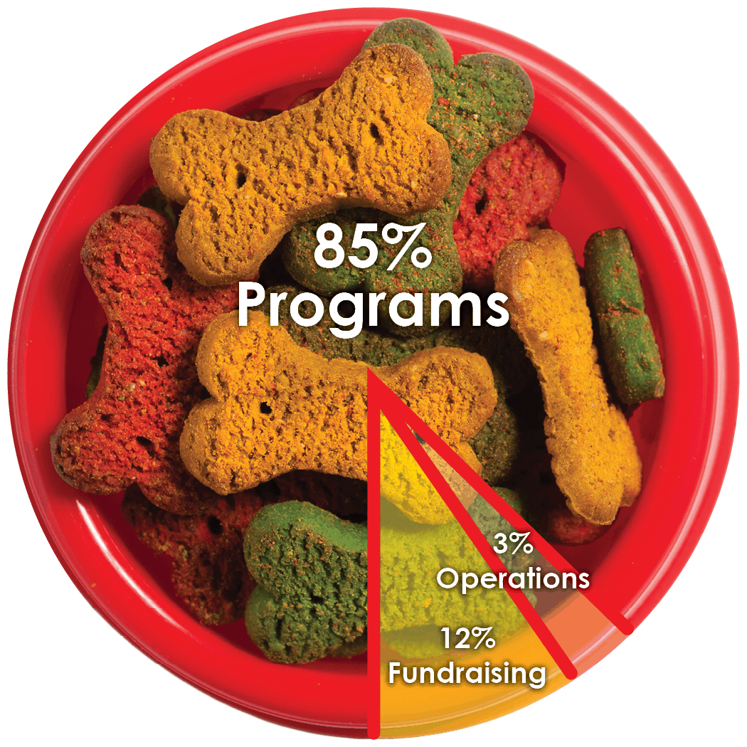 Our Financials SPCA Of East Texas