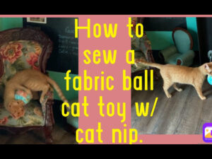 How to Sew – Cat Toy