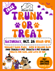 Trunk or Treat