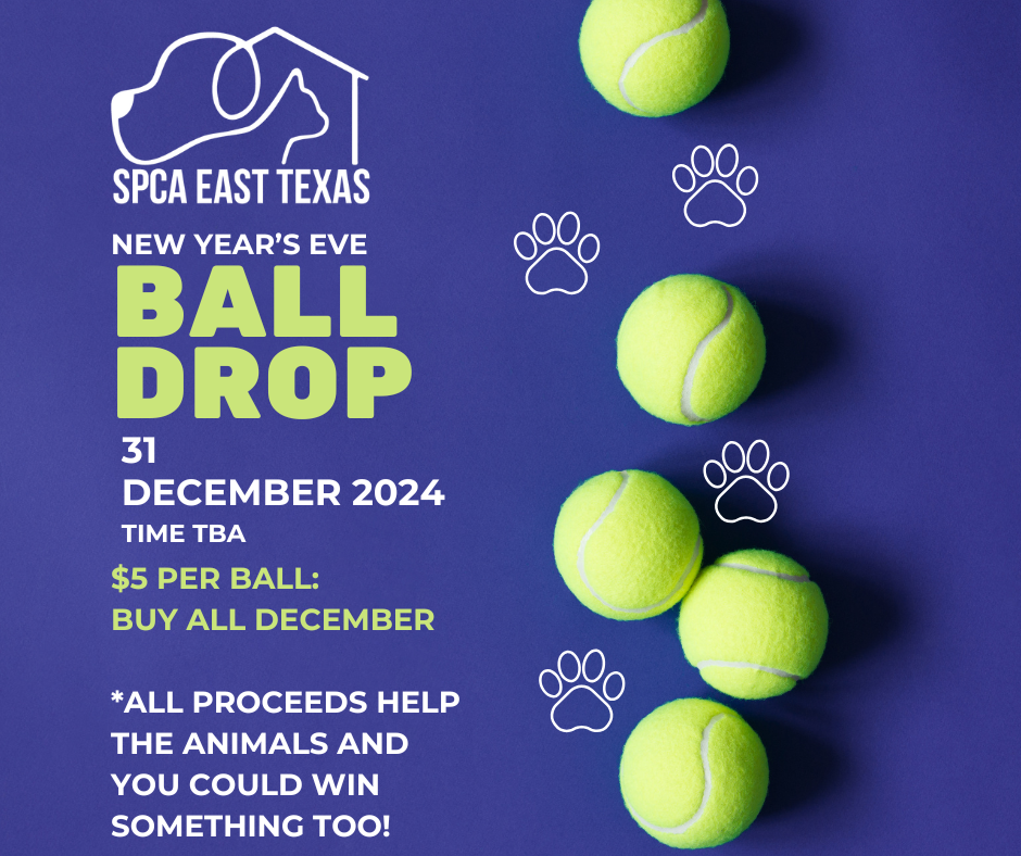 New Year’s Eve Ball Drop 2024 SPCA of East Texas